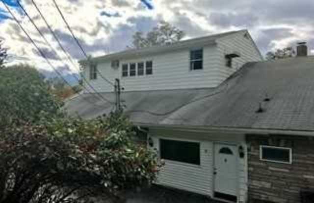 133 SOUTH AVE