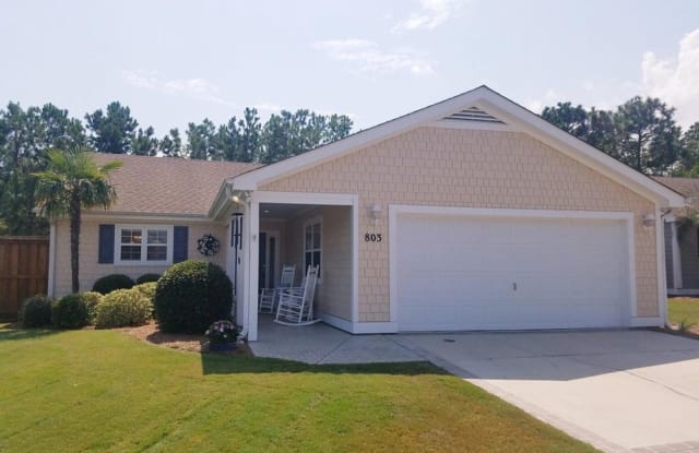 803 Royal Bonnet Circle - 803 Royal Bonnet Drive, Wilmington, NC 28405