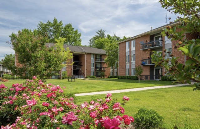 The Vista Apartments