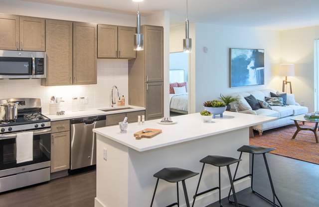 Photo of Modera Needham