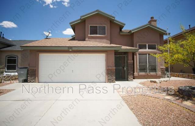 7133 Mesquite Tree