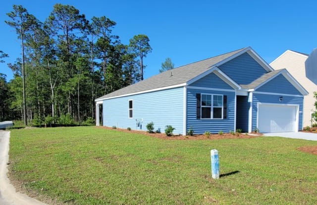 1028 Red Tide Street - 1028 Red Tide St, Horry County, SC 29588