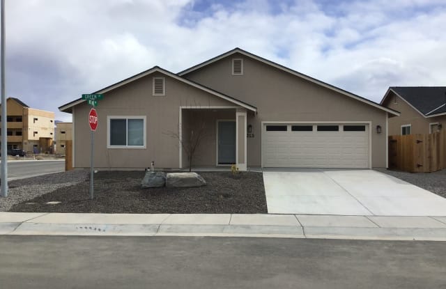 213 Green Ln - 213 Green Lane, Lyon County, NV 89403