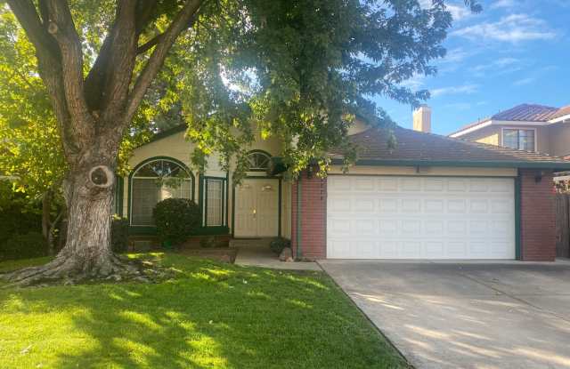 Photo of Coming Soon!