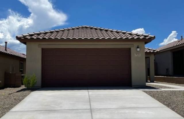 Newly built Home! 3 bedroom located in desired Sahuarita community - 971 Calle Calca, Sahuarita, AZ 85629