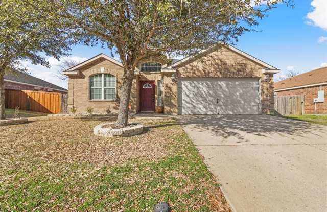 113 Eider Drive - 113 Eider Drive, Sanger, TX 76266