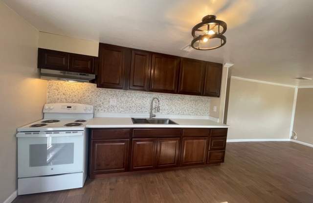 Photo of LCO S. Espina 1880