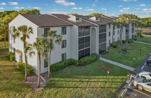 (55+ Furnished) Charming 2-Bedroom, 2-Bath Condo with Lake View in Pine Ridge, Palm Harbor photos photos