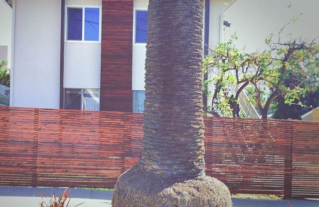 Photo of This upstairs 2 bed / 1 bath apartment in Echo Park is now available - Includes private parking and in-unit laundry!