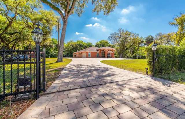 8712 Jackson Springs Road - 8712 Jackson Springs Road, Town 'n' Country, FL 33615