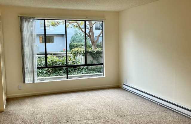Warm, Wonderful West Facing Studio at Watergate on the Bay 15 min. from SF