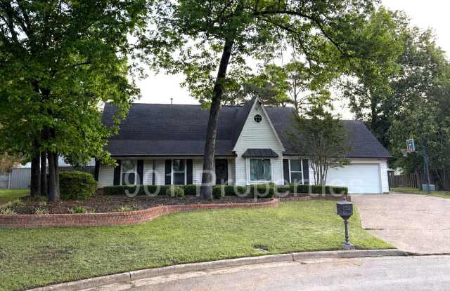 1602 Bubbling Brook Drive