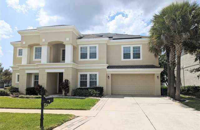 11413 SCRIBNER STATION LANE - 11413 Scribner Station Lane, Fish Hawk, FL 33547