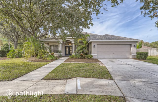 4605 Purple Tiger Court - 4605 Purple Tiger Court, Keystone, FL 33558