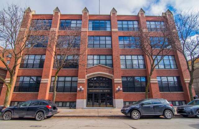 17 N Loomis Street - 17 North Loomis Street, Chicago, IL 60607