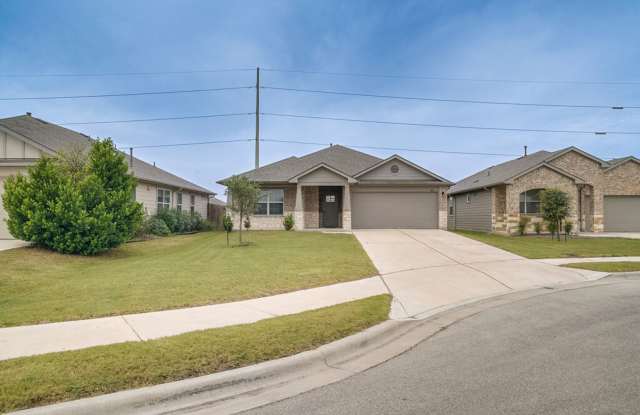 1007 Coolridge Ct, Hutto, TX  78634
