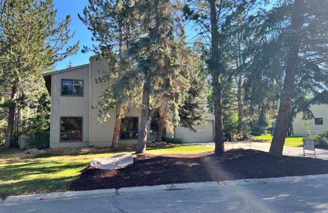 Classic Park Meadows Home