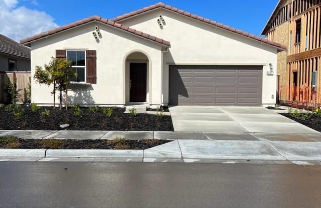 917 OSPREY DR - 917 Osprey Drive, Lathrop, CA 95330