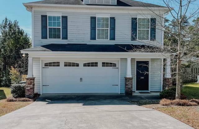 380 Eagle Feather Loop - 380 Eagle Feather Loop, Columbia, SC 29206