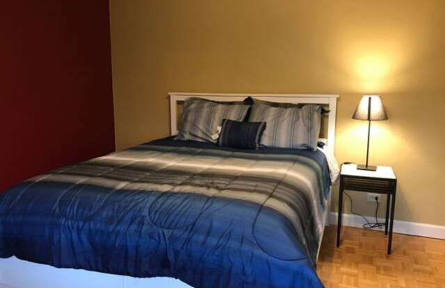 Furnished Move-In Ready Downtown 1br/1ba Apartment on the 5th floor with a Balcony