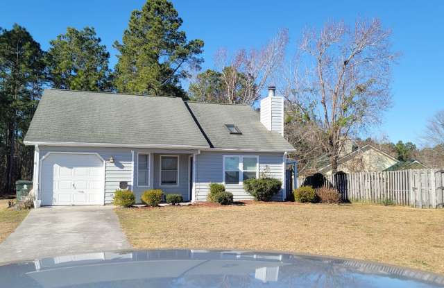3 Bedroom, 2 bath house with one car garage - 611 Mourning Dove Lane, Newport, NC 28570