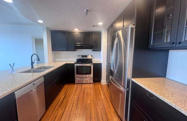 Downtown Grand Rapids condo overlooking the Grand River!