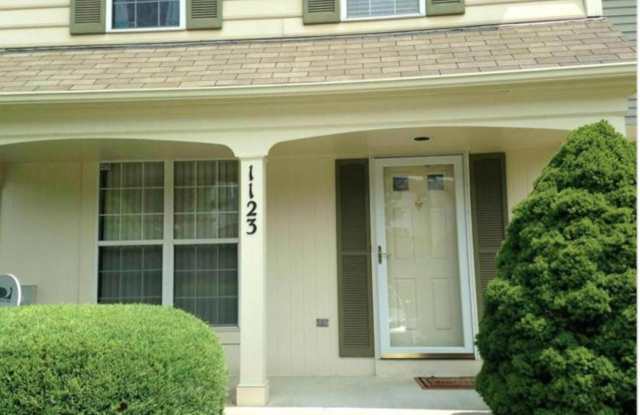 1123 DOEMEADOW - 1123 Doe Meadow Road, Owings Mills, MD 21117