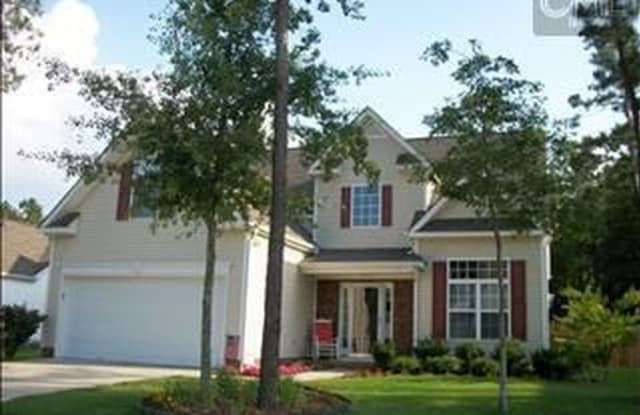 242 Silverwood Trail - 242 Silverwood Trail, Richland County, SC 29229