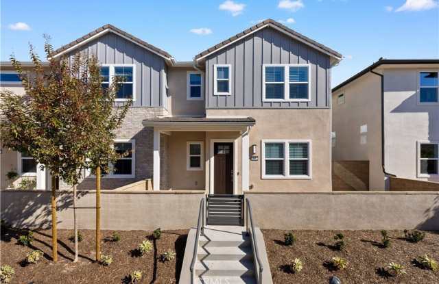 Photo of 297 Shoveler