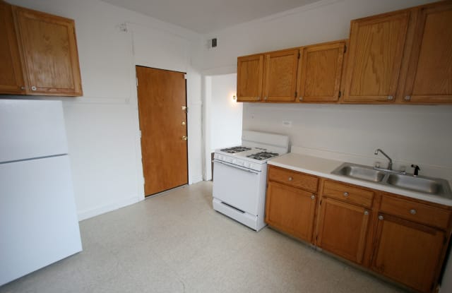 925 East 46th Street Chicago Il Apartments For Rent
