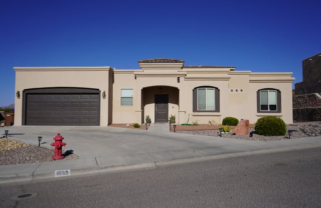 1028 Calle Contendo - 1028 Calle Contendo, Las Cruces, NM 88011