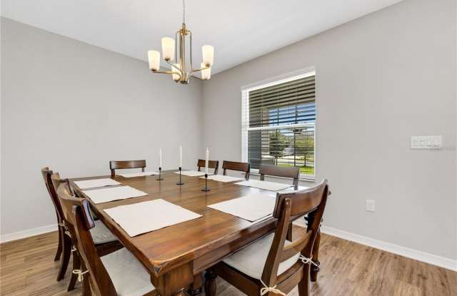 3941 WHITE IBIS ROAD