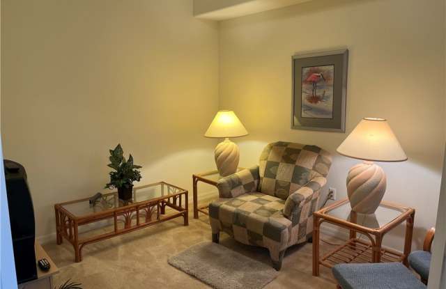 9636 Hemingway Lane unit: 4207