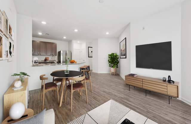 Photo of Allure Apollo