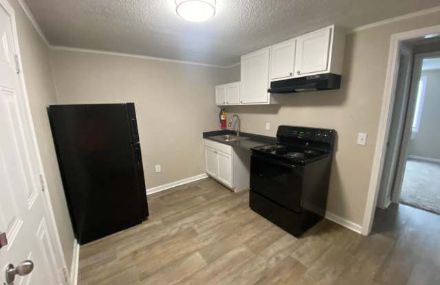 Photo of The Parks at Lanier