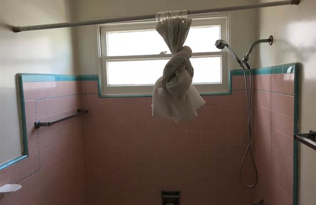 431-433 W. 13th Street - 433