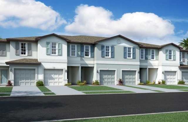 4028 Wild Senna Blvd, Tampa, FL 33619