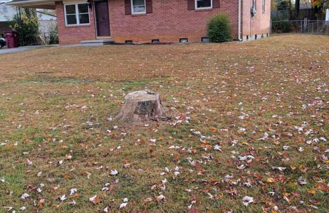 3 Bedroom / 1 Bath Brick Ranch Home Johnson City, TN