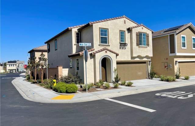 Photo of 30310 Wild Oat