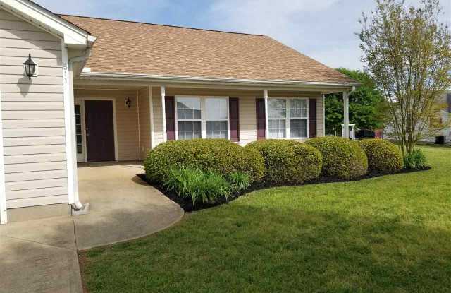 511 Sea Mist Court - 511 Sea Mist Court, Spartanburg County, SC 29365