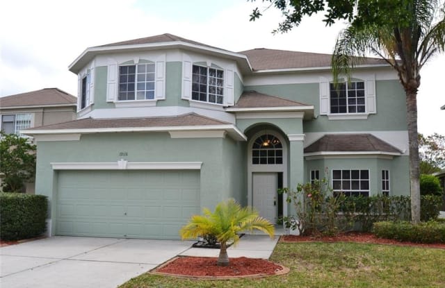 19331 AQUA SPRINGS DRIVE - 19331 Aqua Springs Drive, Cheval, FL 33558