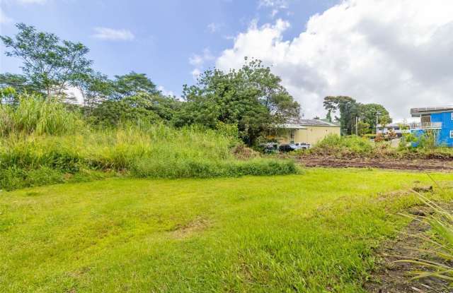 15-2885 Pahoa Village Road