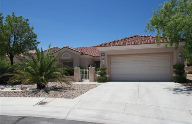 2937 Darby Falls Drive - 2937 Darby Falls Drive, Las Vegas, NV 89134