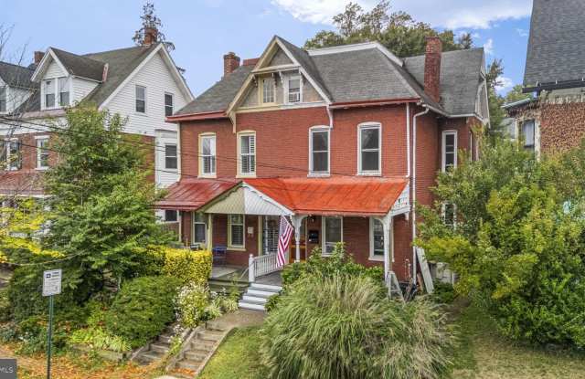 Photo of 305 W BIDDLE Street