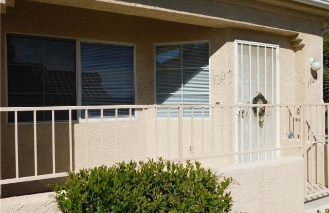 1128 DUSTY CREEK Street