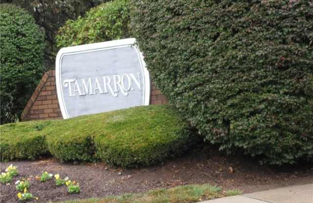 9016 Tamarron Drive