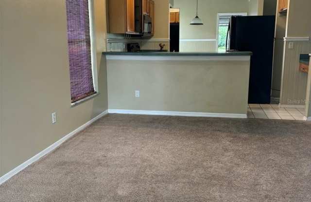 13617 EMERALDVIEW DRIVE