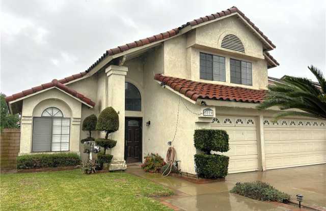 Photo of 3773 Burning Tree