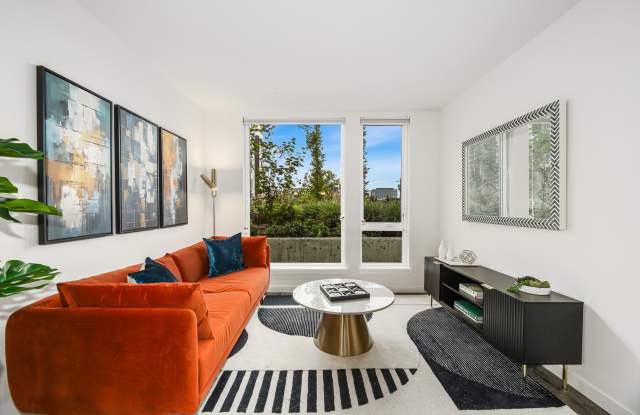 Photo of Ellis at Bel-Red