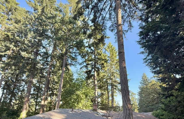 Photo of Pet Friendly Home with Pool Access!